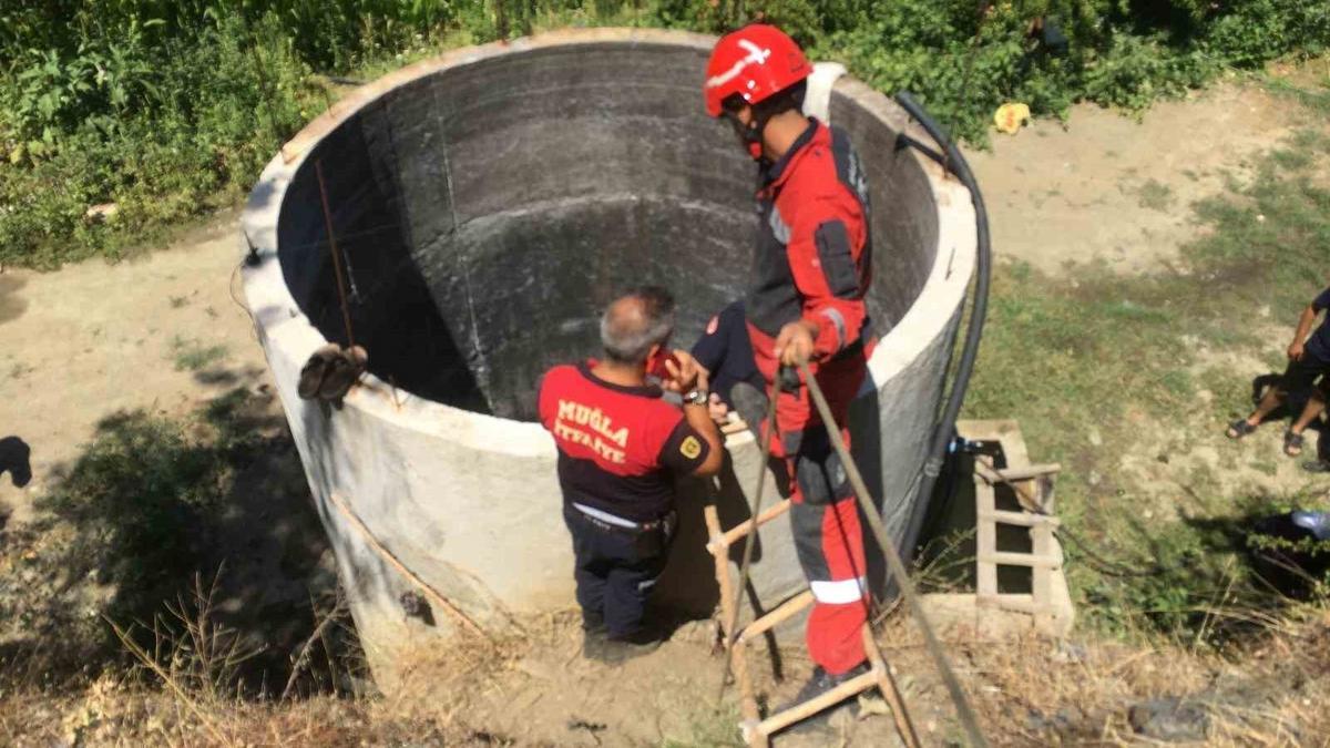 18 yandaki gen serinlemek iin girdii su kuyusunda l bulundu