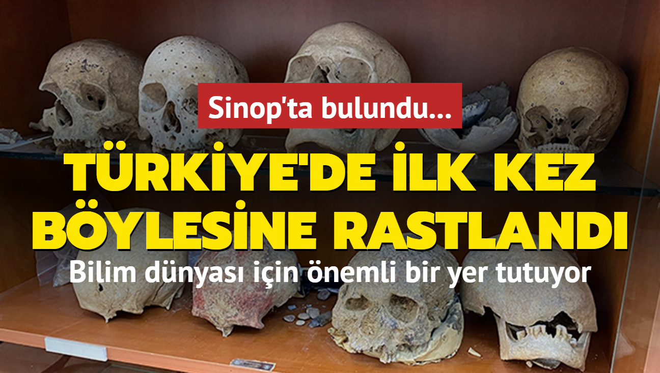 Sinop'ta bulundu... Trkiye'de ilk kez bylesine rastland: Bilim dnyas iin nemli bir yer tutuyor