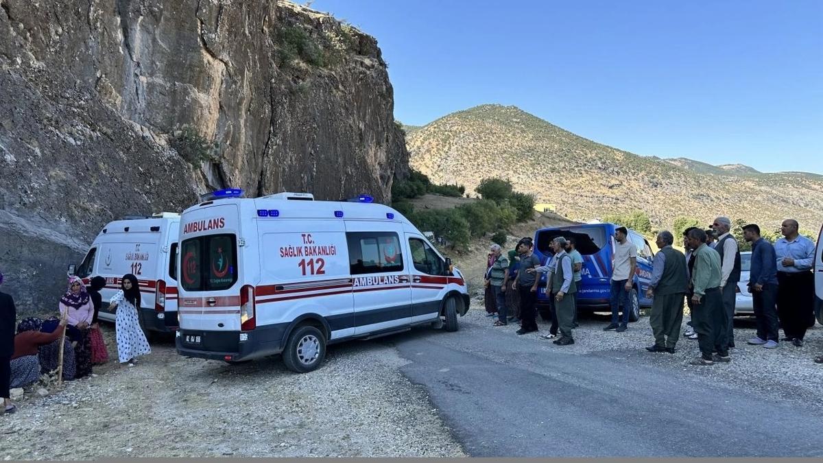 2 servis minibs arpt: 13 kii yaraland