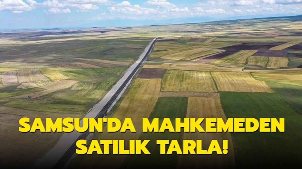 Samsun'da mahkemeden satlk tarla!