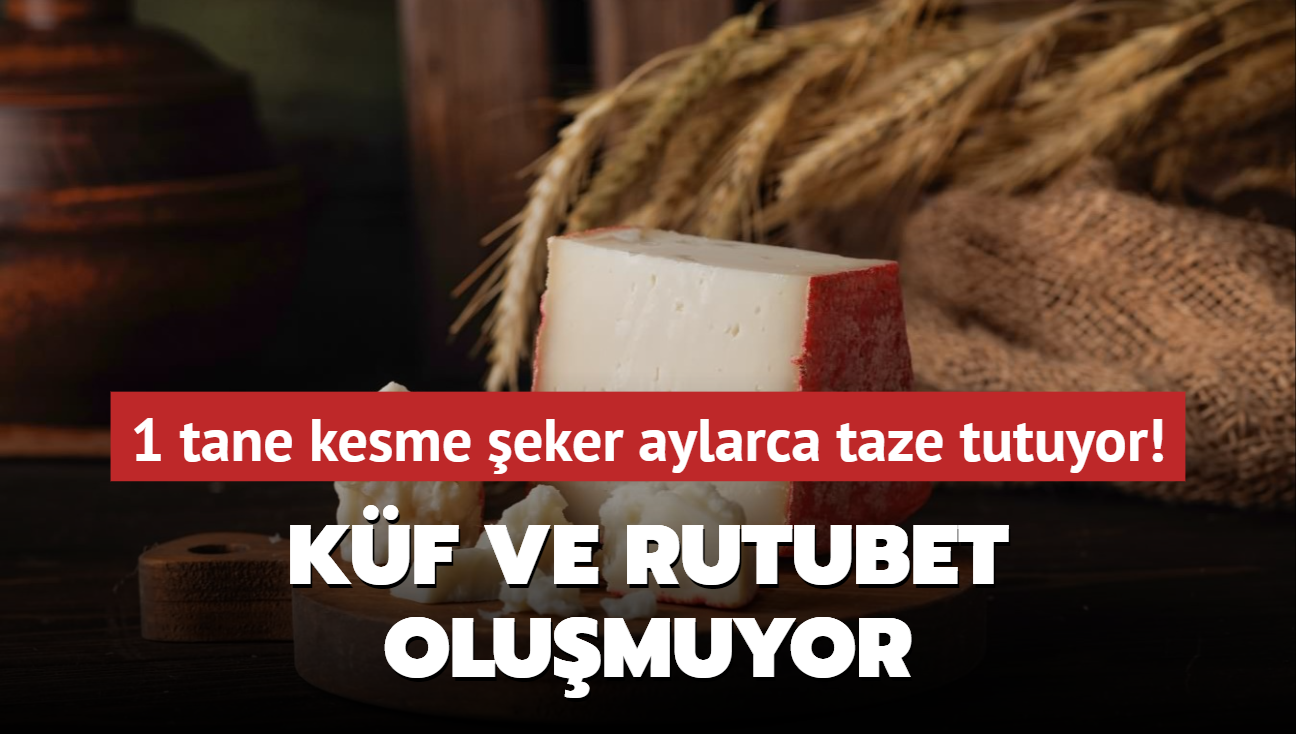 1 tane kesme eker aylarca taze tutuyor! Kf ve rutubet olumuyor, kas gelitirici