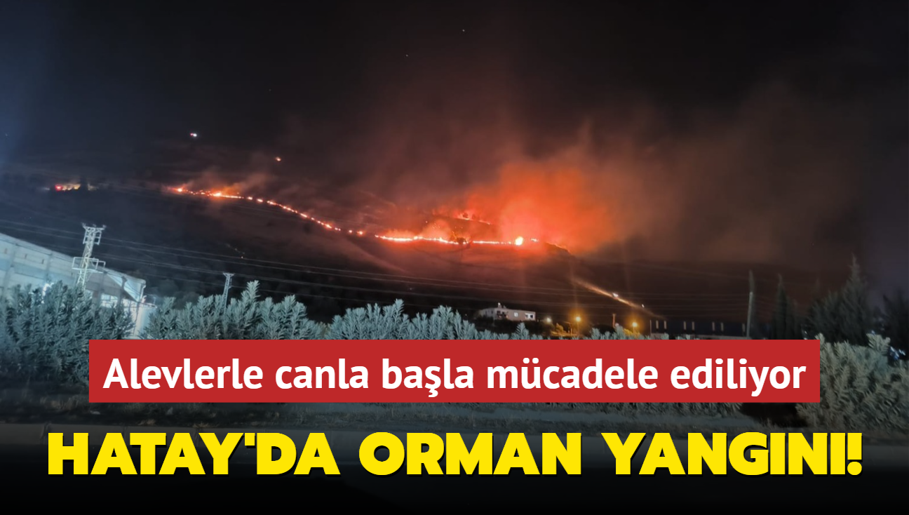 Hatay'da orman yangn... Ekipler mdahale ediyor!