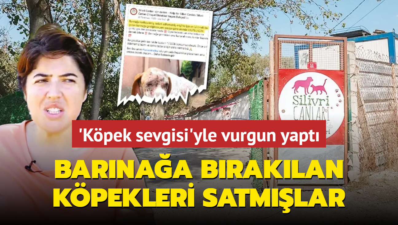 Sokak hayvanlarn koruma derneinde organize vurgun! Barnaa braklan kpekleri satmlar