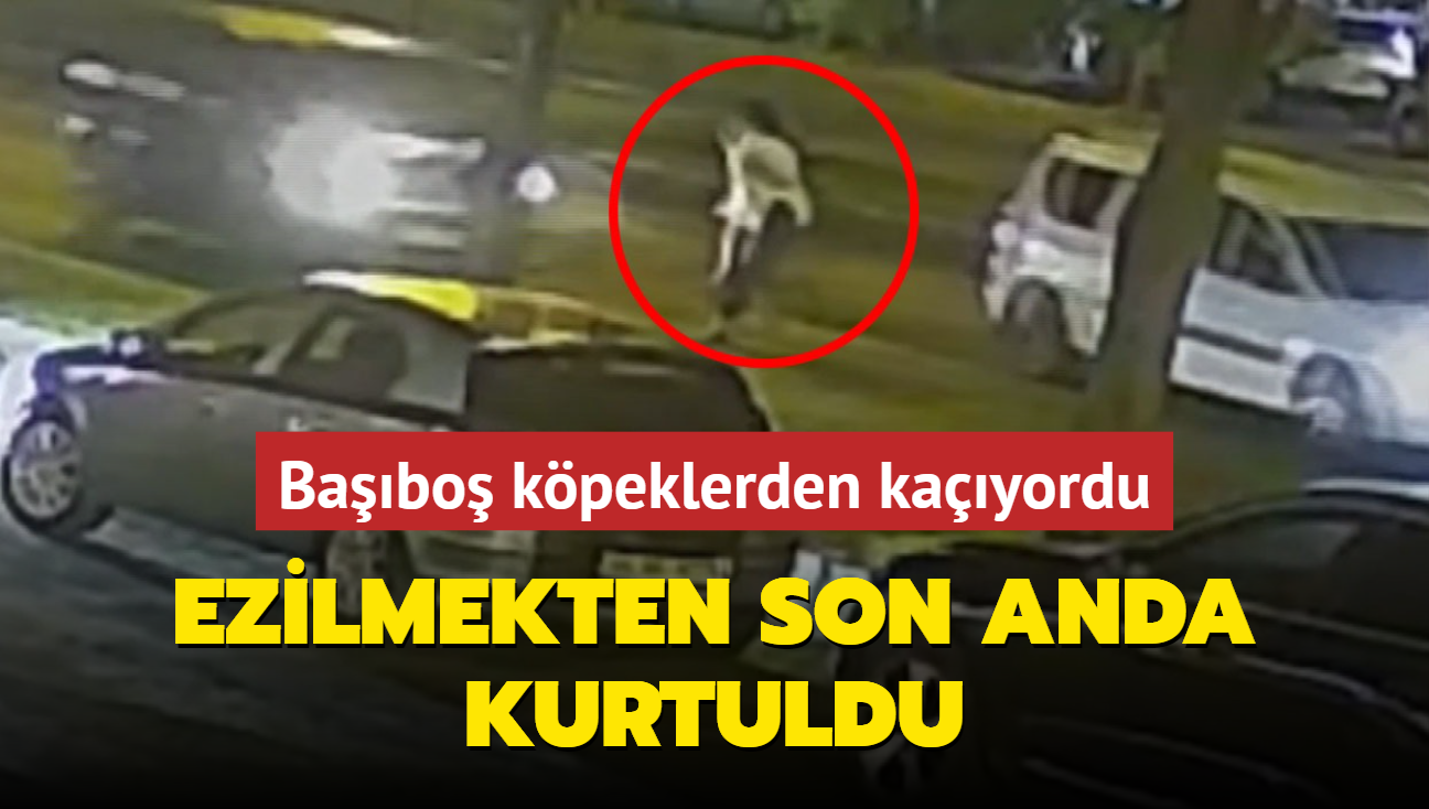 Babo kpeklerden kayordu! Ezilmekten son anda kurtuldu