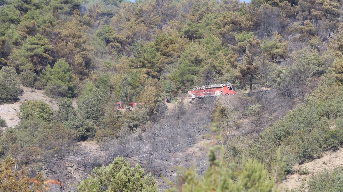 Tokat'ta kan orman yangn kontrol altna alnd