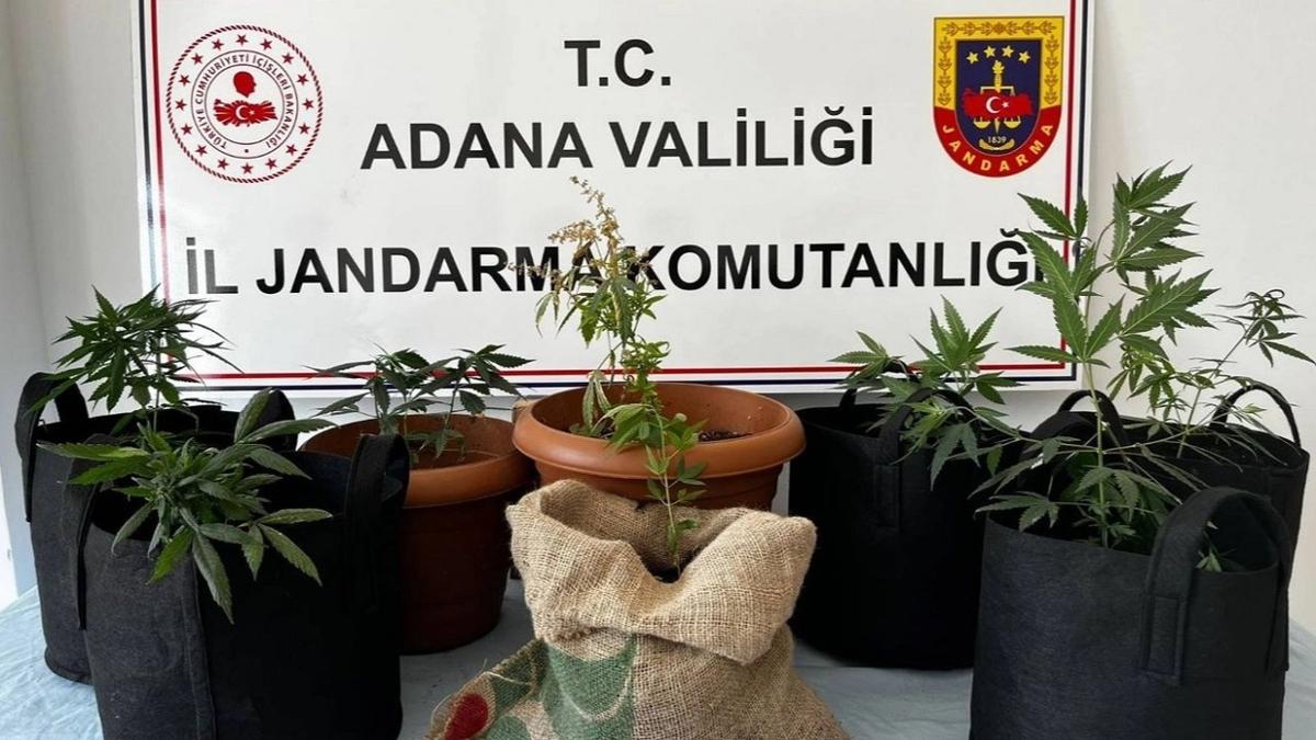 Adana'da Hint keneviri operasyonu: 1 kii tutukland