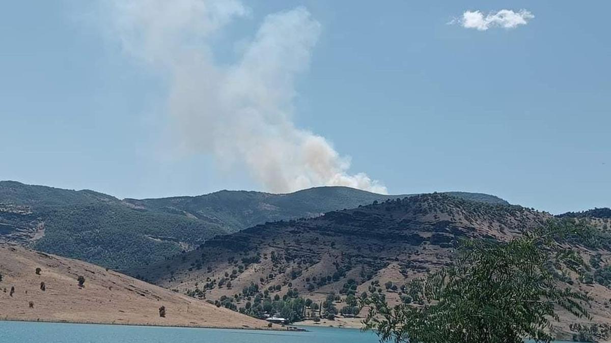 Tunceli'de orman yangn: Kontrol altna alnmaya allyor