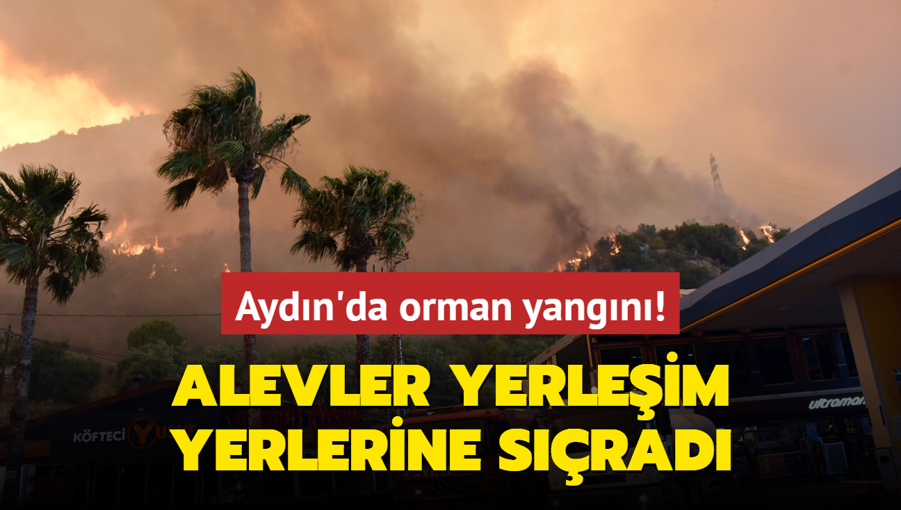 Aydn'da orman yangn! Mdahaleler sryor: Alevler yerleim yerlerine srad