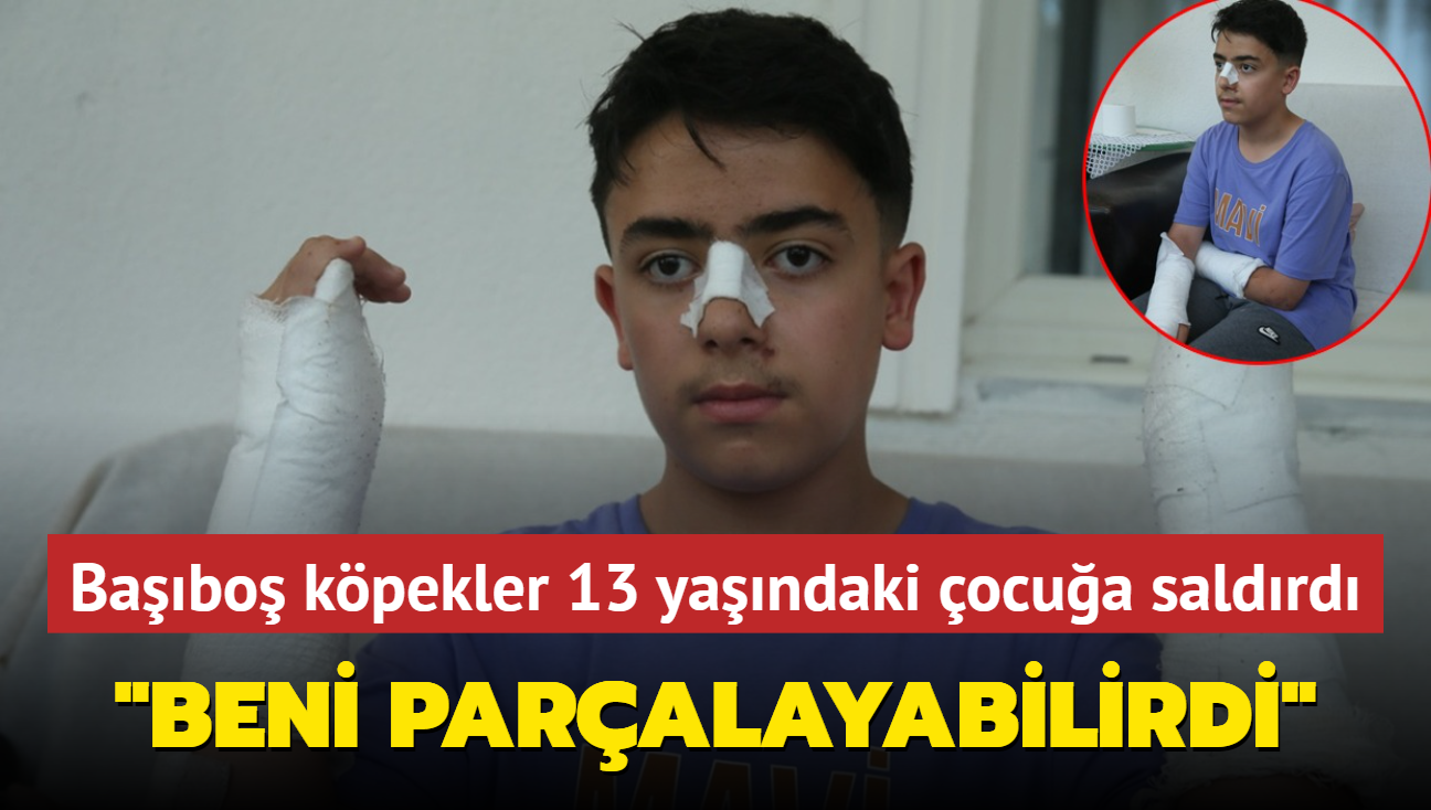 Babo kpekler 13 yandaki ocua saldrd... "Beni paralayabilirdi"