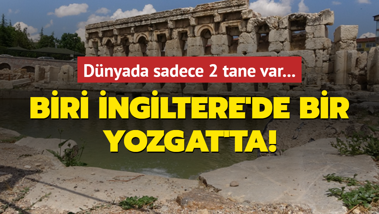 Dnyada sadece 2 tane var... Biri ngiltere'de bir Yozgat'ta!