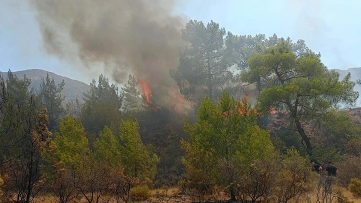 Marmaris'te korkutan orman yangn! Havadan ve karadan mdahale ediliyor