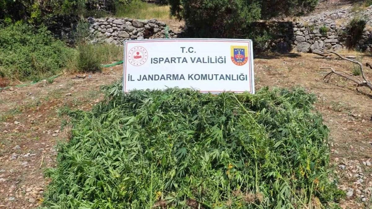 Isparta'da uyuturucu operasyonu: 1 kii tutukland