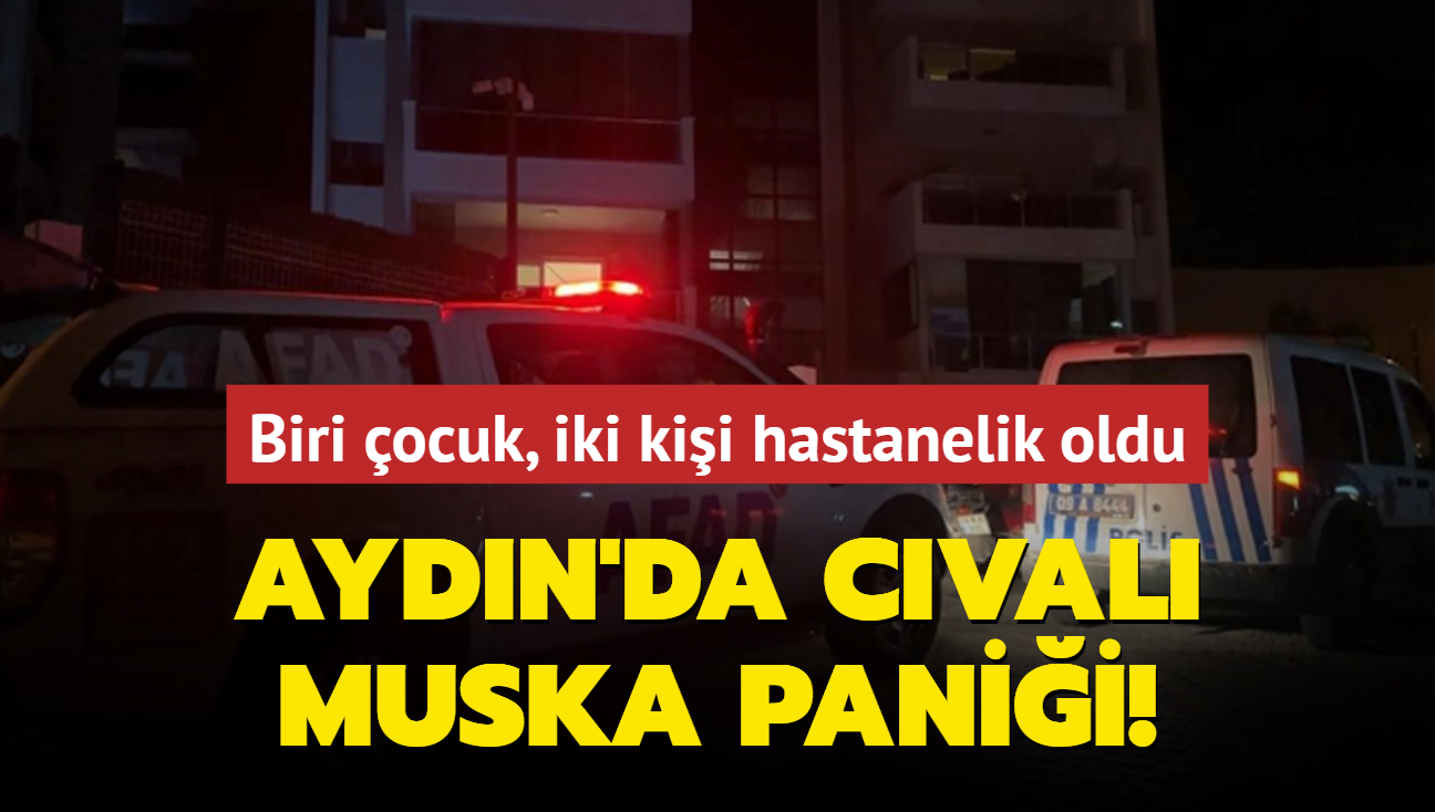 Aydn'da cval muska panii: Biri ocuk, iki kii hastanelik oldu