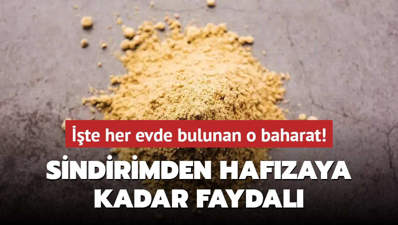 Tketen yaad: Sindirimden hafzaya kadar faydal! te her evde bulunan o baharat