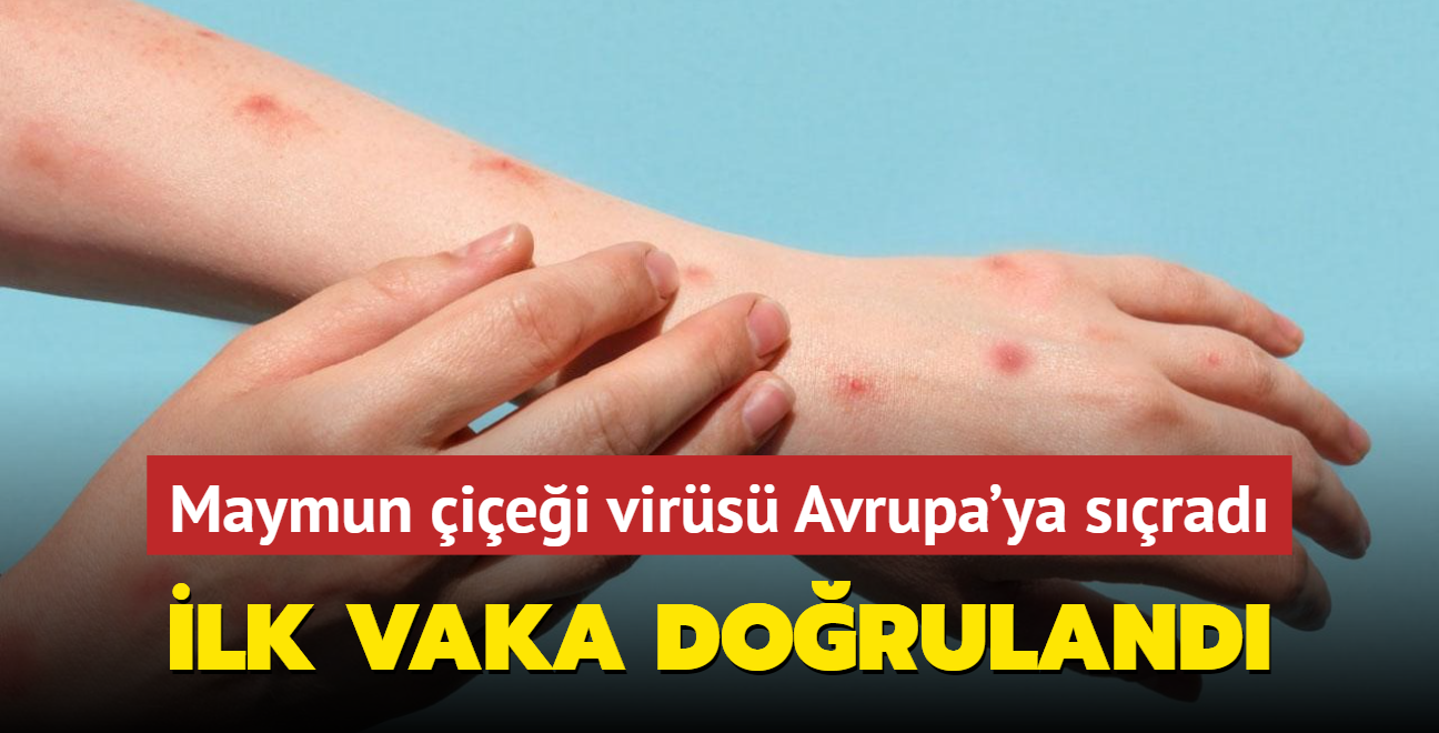 Maymun iei virs Avrupa'ya srad: lk vaka doruland