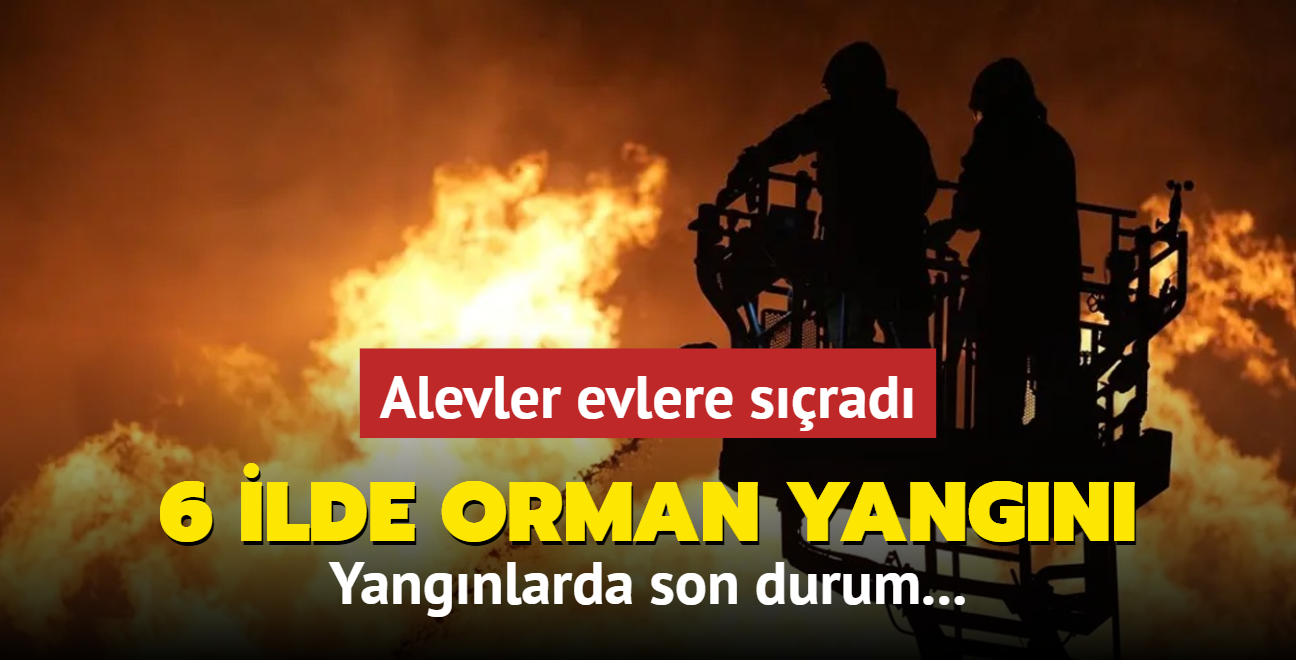 6 ilde orman yangn: Alevler evlere srad