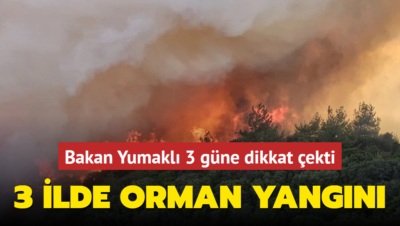 anakkale, Bolu ve Manisa'da orman yangn: Bakan Yumakl 3 gne dikkat ekti