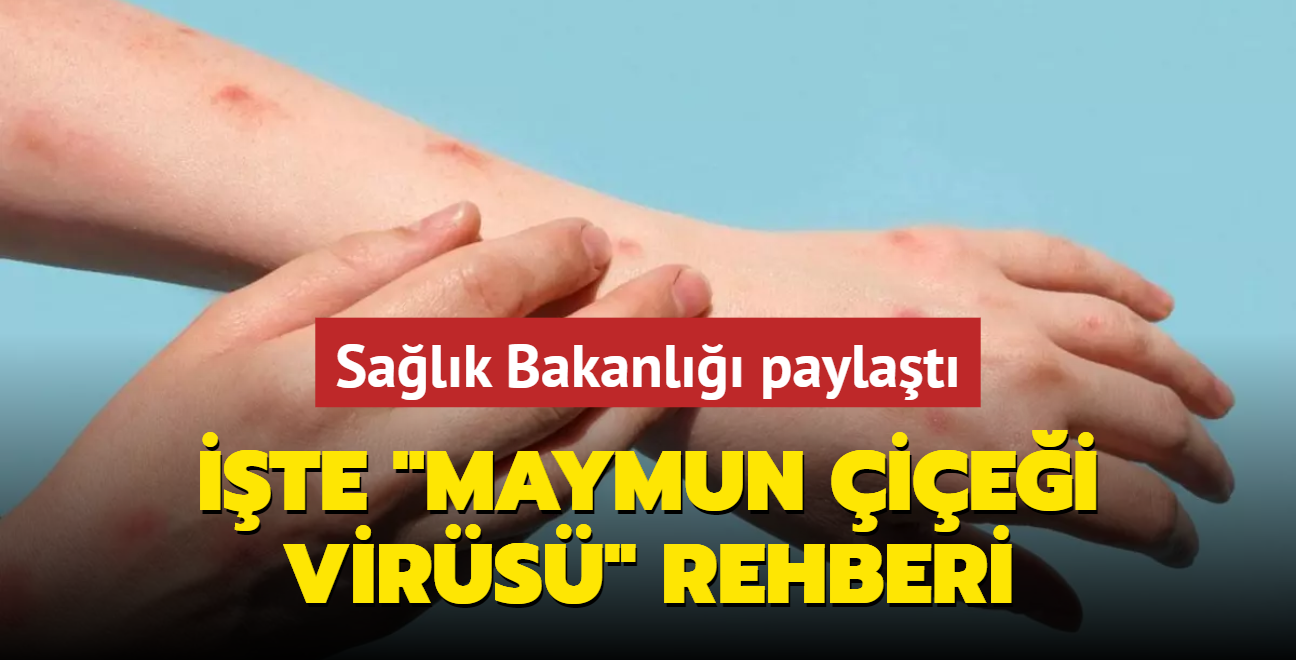 'Maymun iei' virsne ilikin rehber yaymland