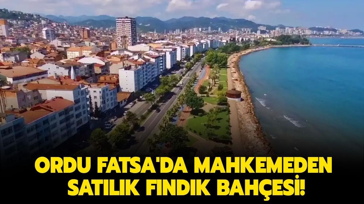 Ordu Fatsa'da mahkemeden satlk fndk bahesi!