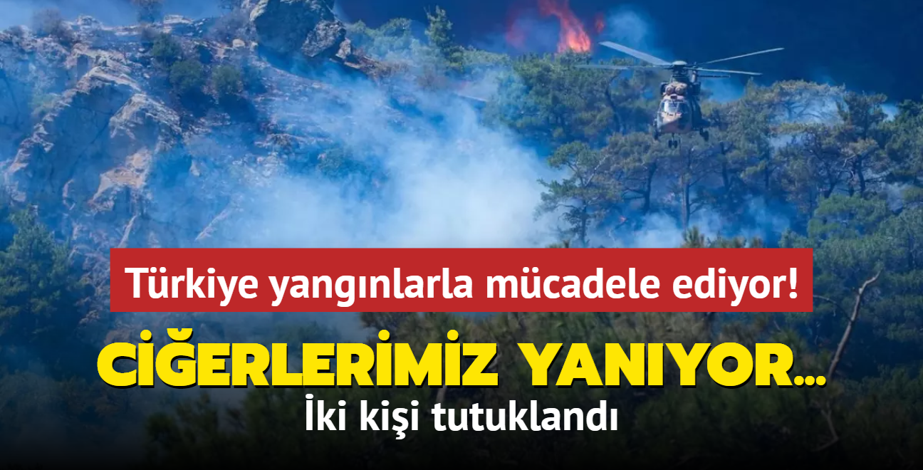 Trkiye yangnlarla mcadele ediyor! Cierlerimiz yanyor