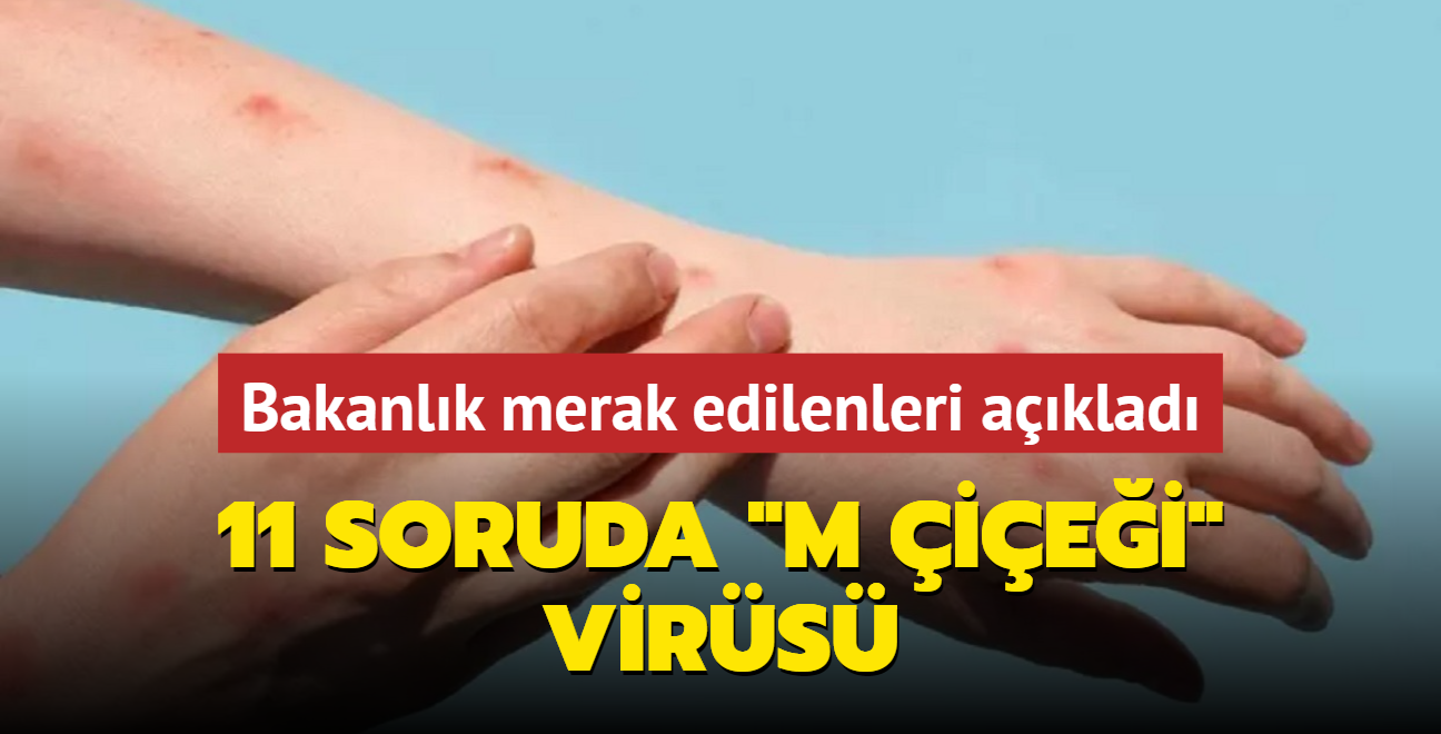 11 soruda M iei virs... Bakanlk merak edilenleri tek tek aklad