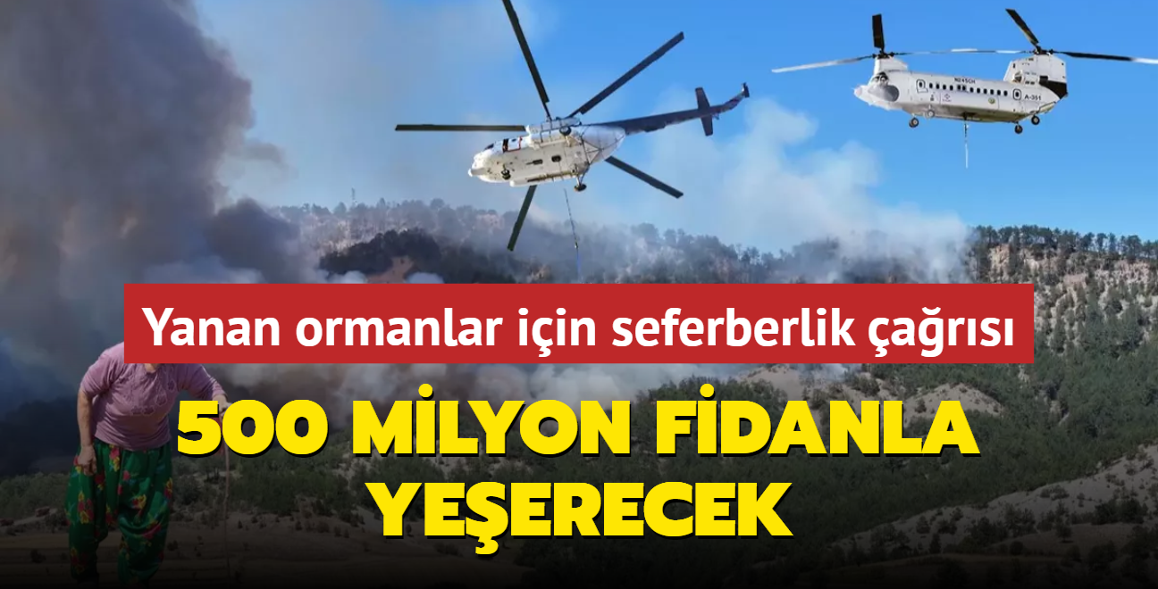 500 milyon fidanla yeerecek... Bakan Yumakl'dan yanan ormanlar iin seferberlik ars