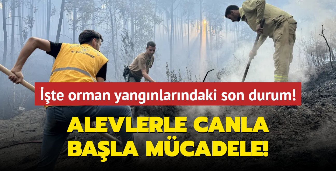 Alevlerle canla bala mcadele... Drt ildeki orman yangnlar kontrol altnda!