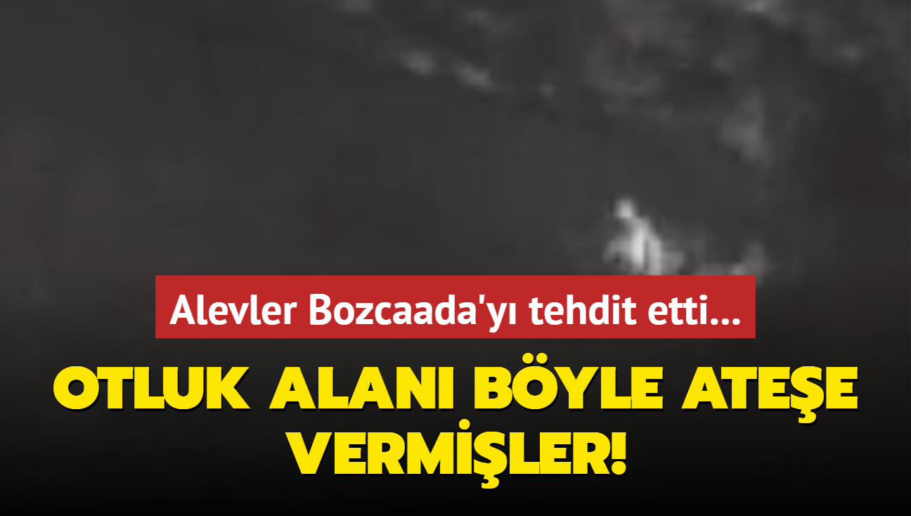 Alevler Bozcaada'y tehdit etti... Otluk alan byle atee vermiler!