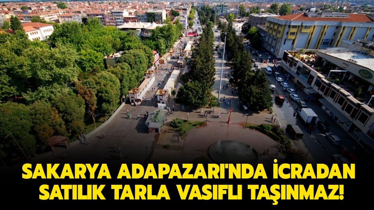 Sakarya Adapazar'nda icradan satlk tarla vasfl tanmaz!