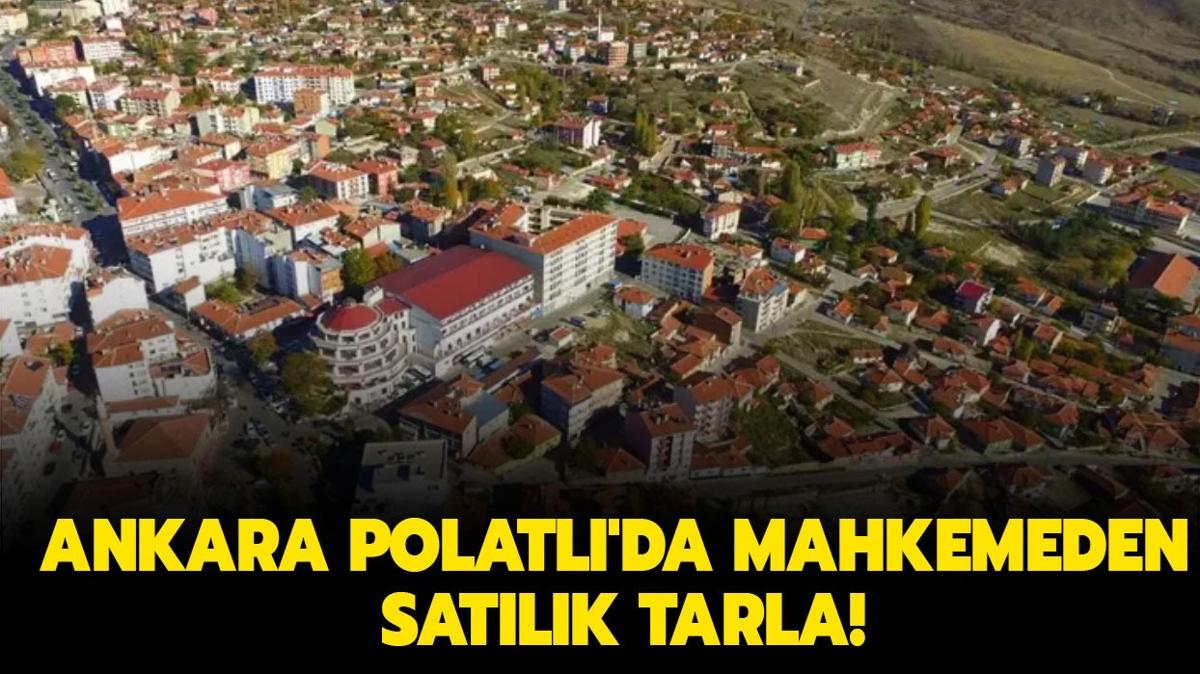 Ankara Polatl'da mahkemeden satlk tarla!