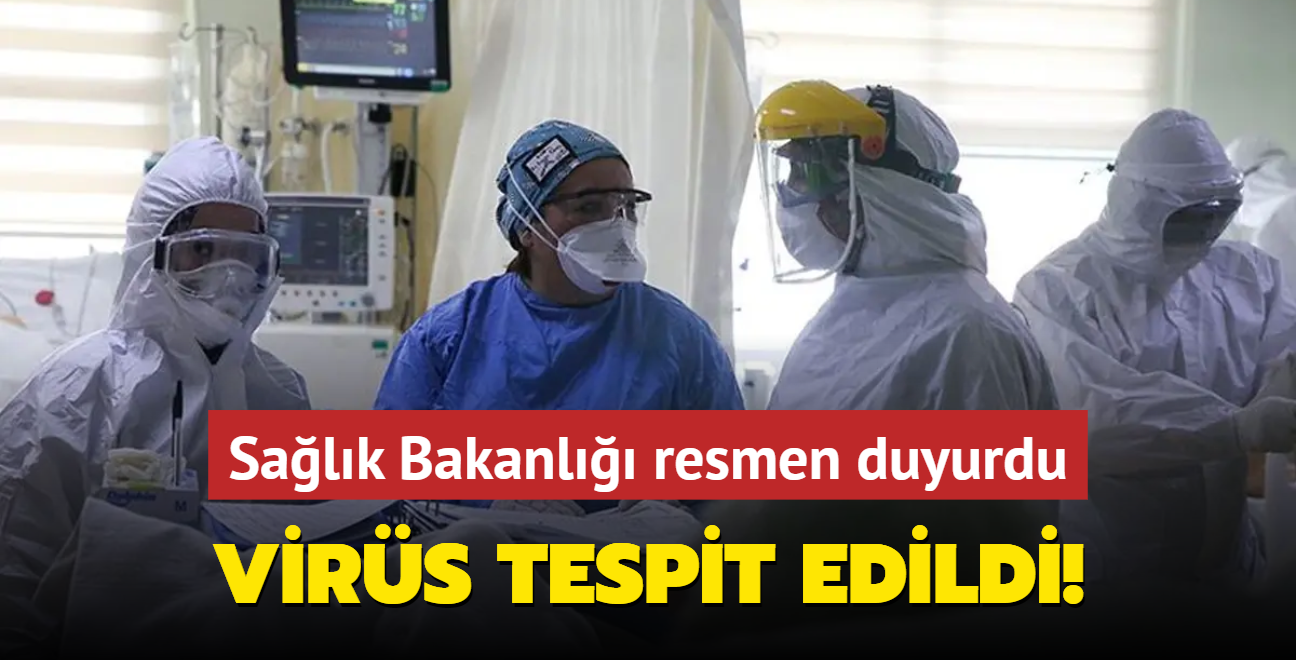 Salk Bakanl resmen duyurdu: Trkiye'de  Bat Nil Virs tespit edildi