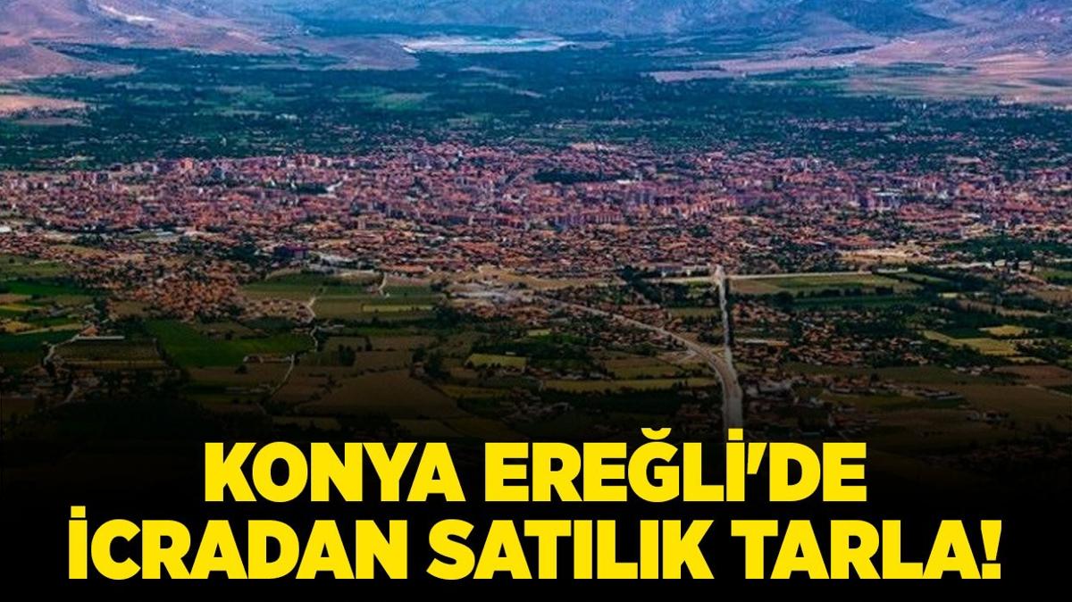 Konya Ereli'de icradan satlk tarla!