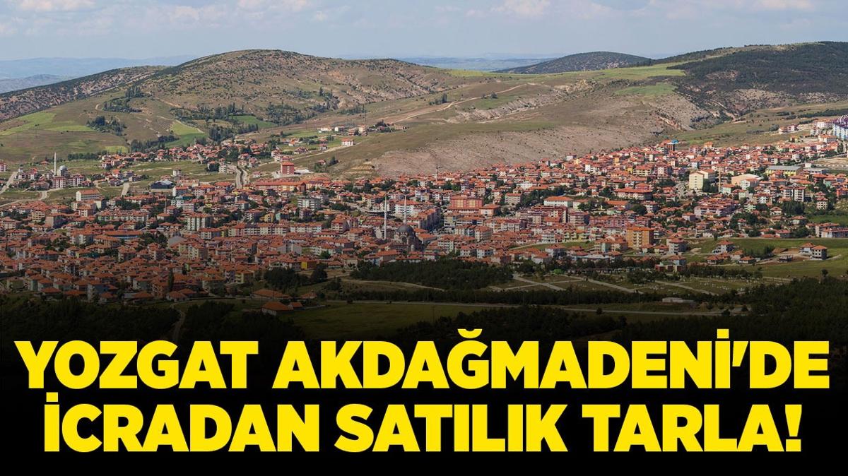 Yozgat Akdamadeni'de icradan satlk tarla!