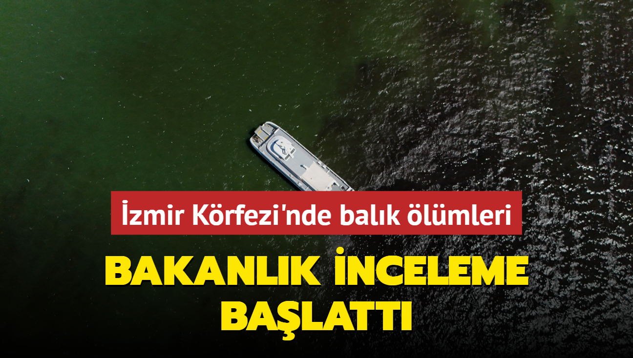 zmir Krfezi'nde balk lmleri... Bakanlk inceleme balatt