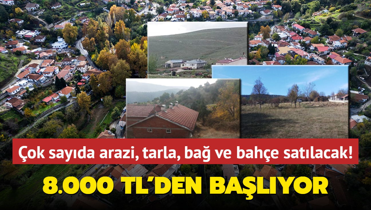 Resmen akland: 8.000 TL'den balyor! ok sayda arazi, tarla, ba ve bahe satlacak