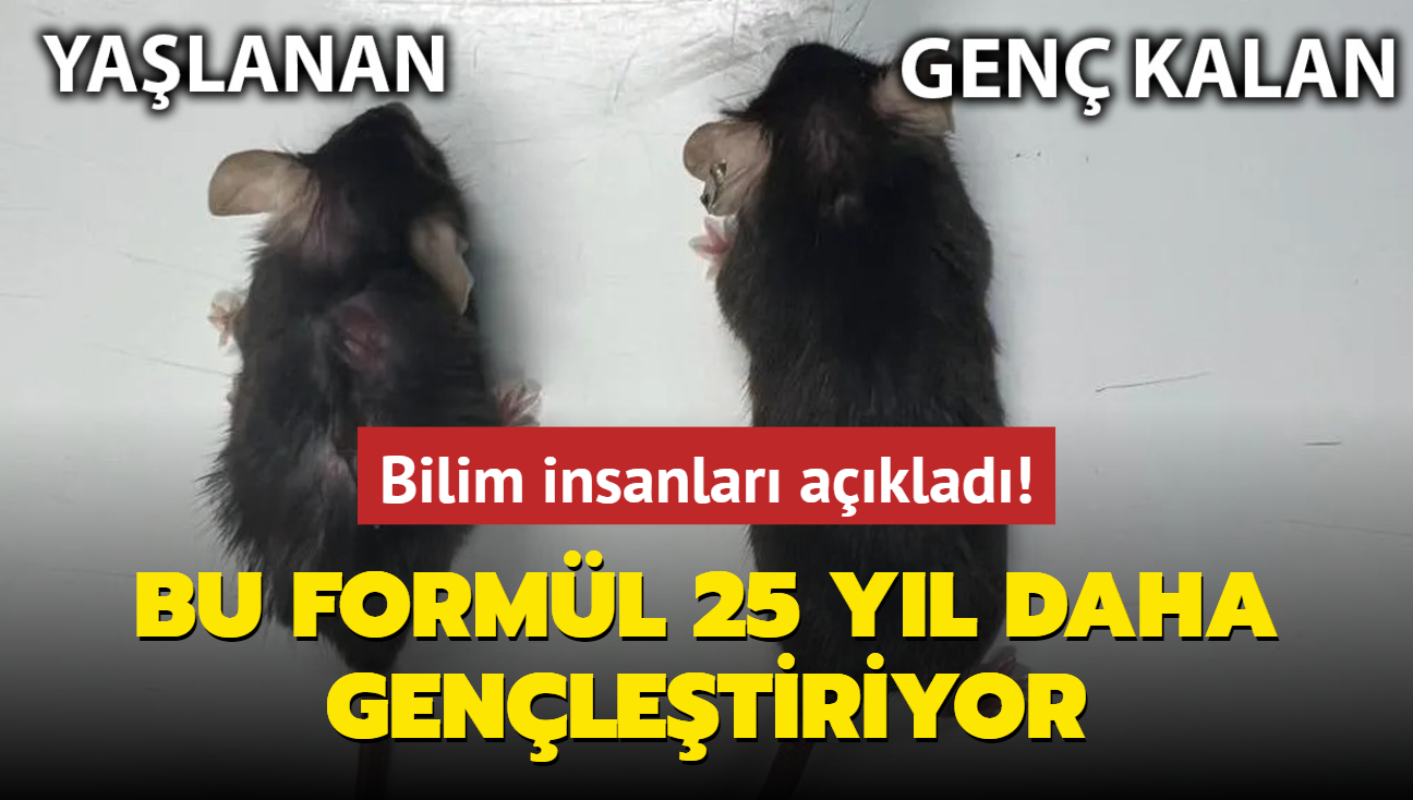 Bilim insanlar aklad: Bu forml yalanmay nlyor! 25 yl daha gen kalmak mmkn