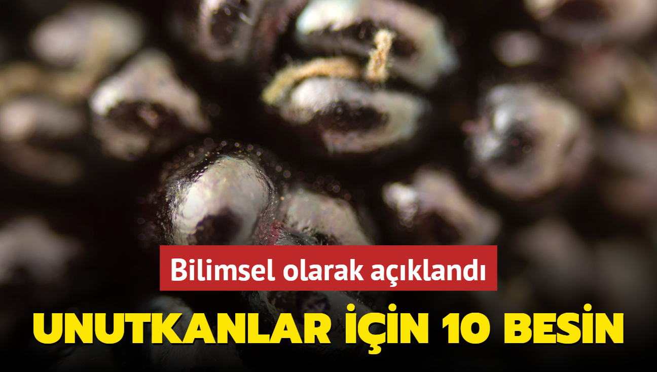 Unutkanl nlyor, beyne format atyor! 10 besine sofrada yer an