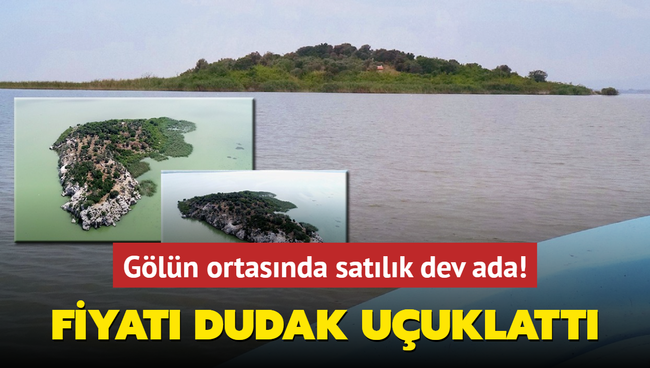 Gln ortasnda satlk dev ada! Fiyat dudak uuklatt