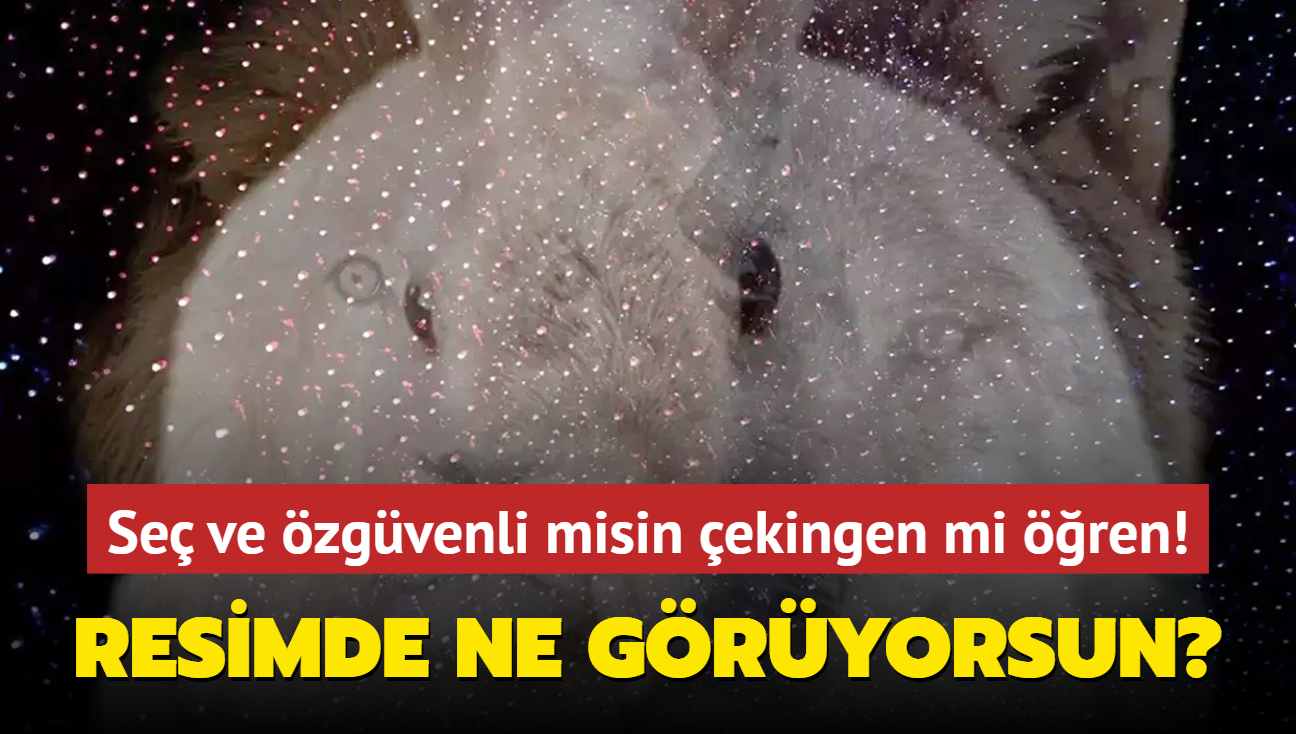 Kiilik testi: Se ve zgvenli misin ekingen mi ren! Resimde ne gryorsun"