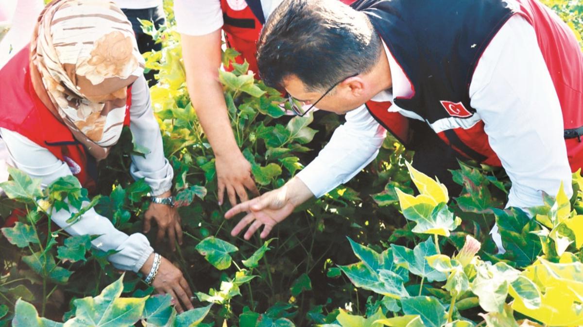 Alo Ziraat Doktorum' ile cretsiz destek