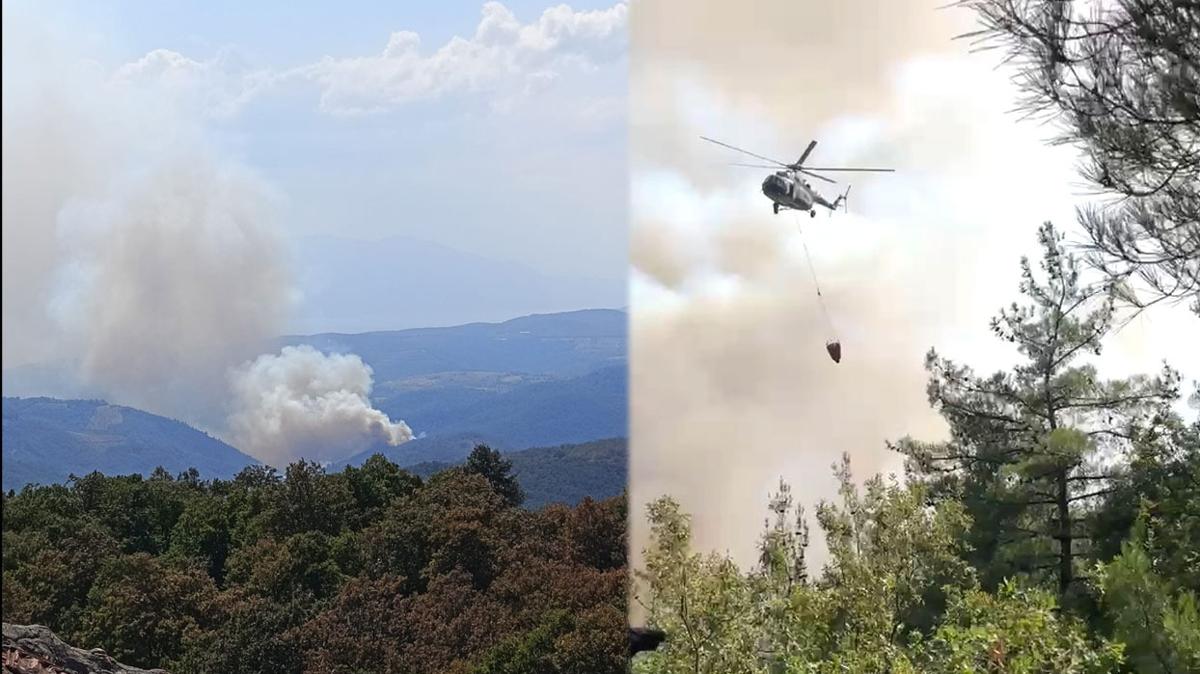 Bursa'daki orman yangnndan ilk grntler