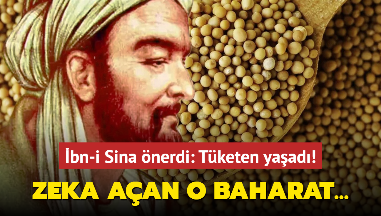 bn-i Sina nerdi: Tketen yaad! Zeka aan o baharat