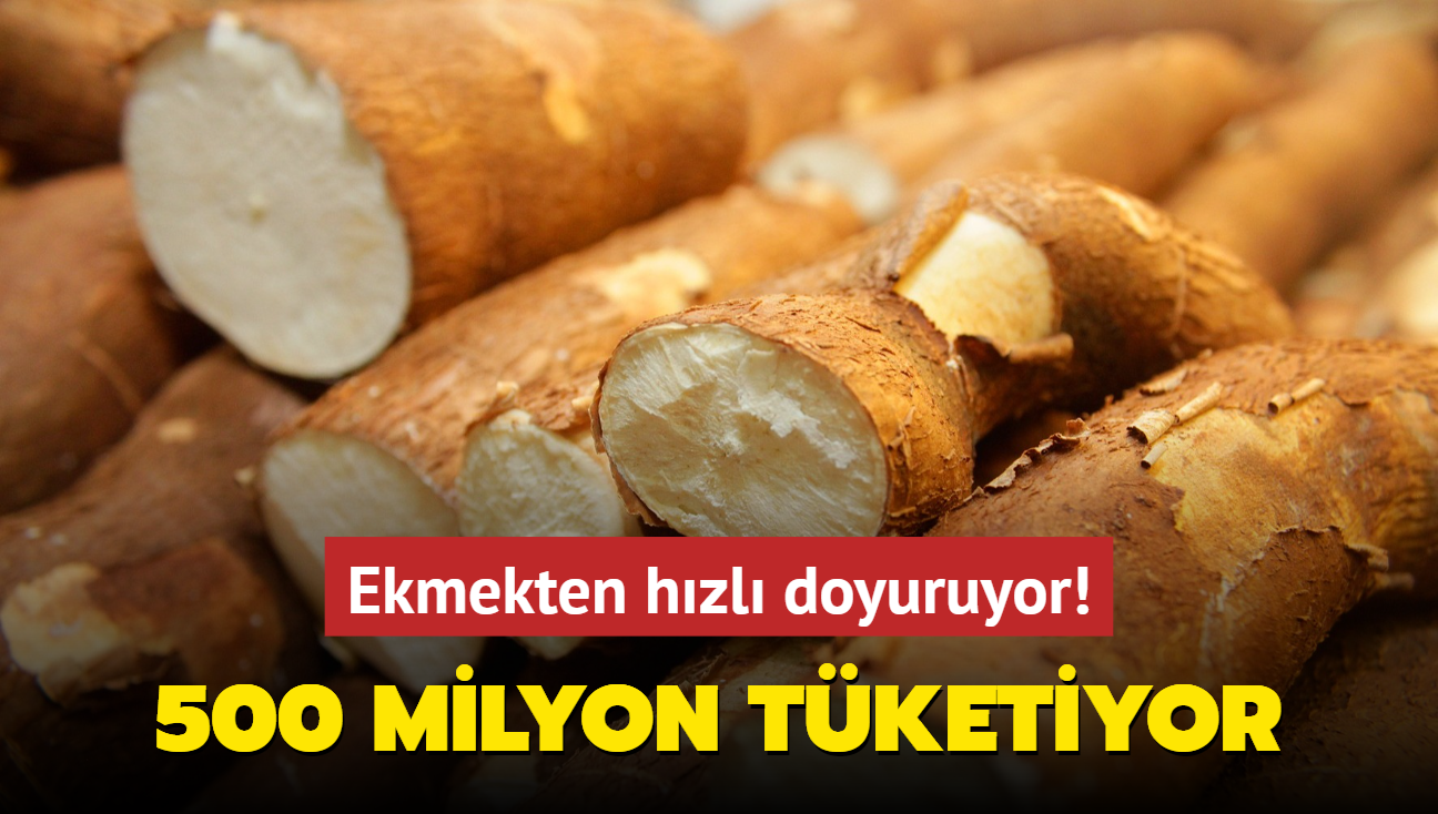 ekli patates gibi ekmekten hzl doyuruyor! 500 milyon insan tketiyor, bol ifal