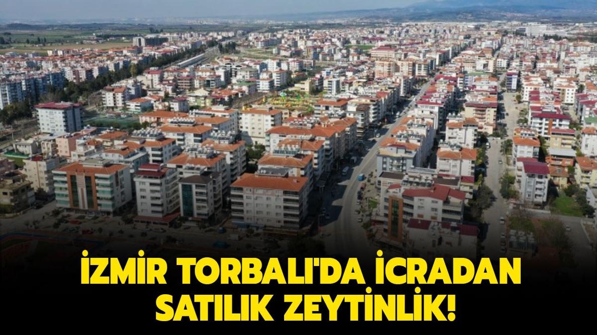 zmir Torbal'da icradan satlk zeytinlik!