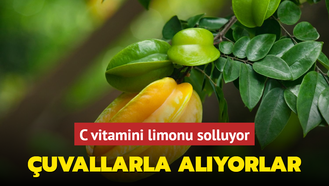 Kimse bilmiyor ama C vitamini miktar limonu solluyor! uvallarla alp stok yapyorlar