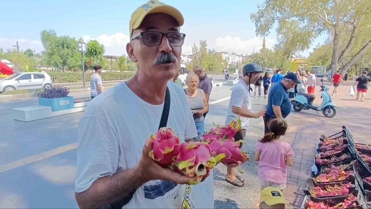 Araclara kzd, binlerce Ejder meyvesini bedava datt!