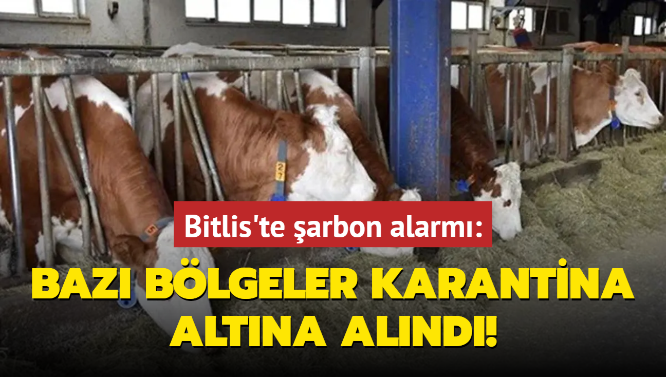 Bitlis'te arbon alarm: Baz blgeler karantina altna alnd!