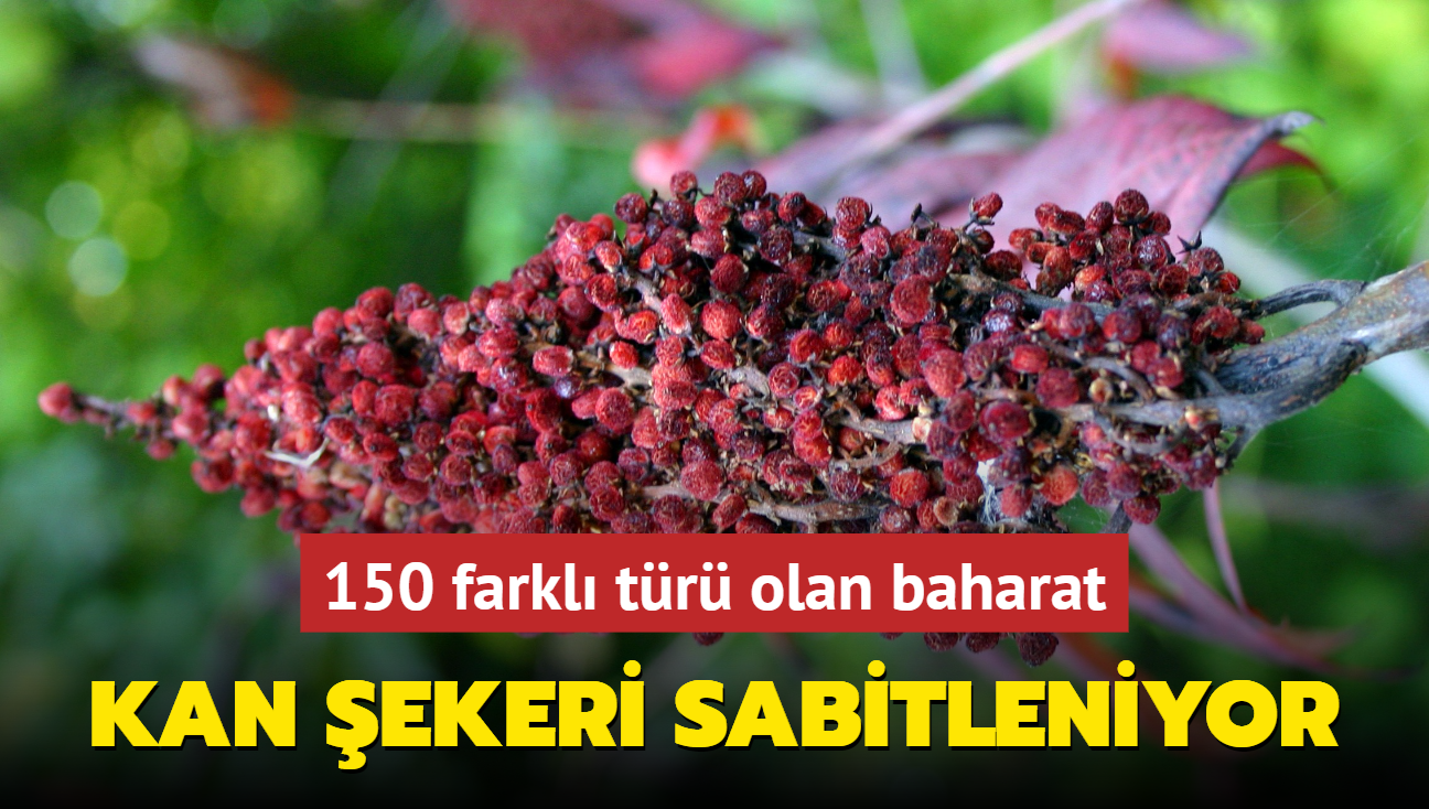 Aslnda bir baharat ama 150 farkl tr var yksek kan ekerini durduruyor! Tansiyona ve diyabete set koyuyor