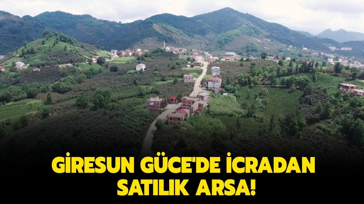 Giresun Gce'de icradan satlk arsa!