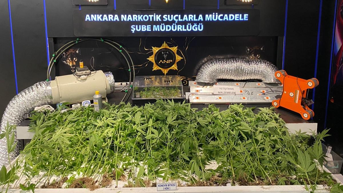 Zehir tacirlerine operasyon: 20 bin uyuturucu hap ve 57 kk kenevir ele geirildi